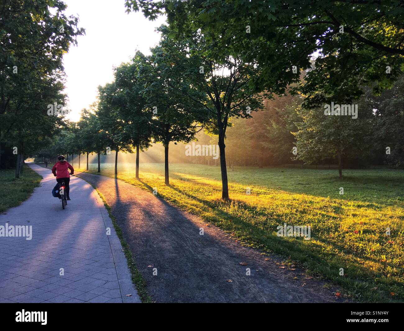A cyclist on her commute in a Berlin park at dawn, Berlin, Germany Stock Photo