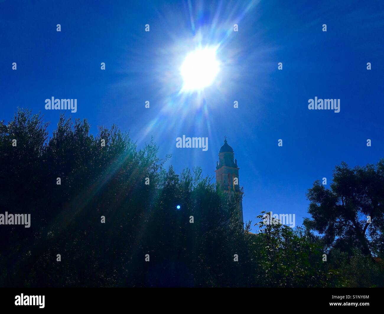 Sun rays through leaves trees hi-res stock photography and images - Alamy