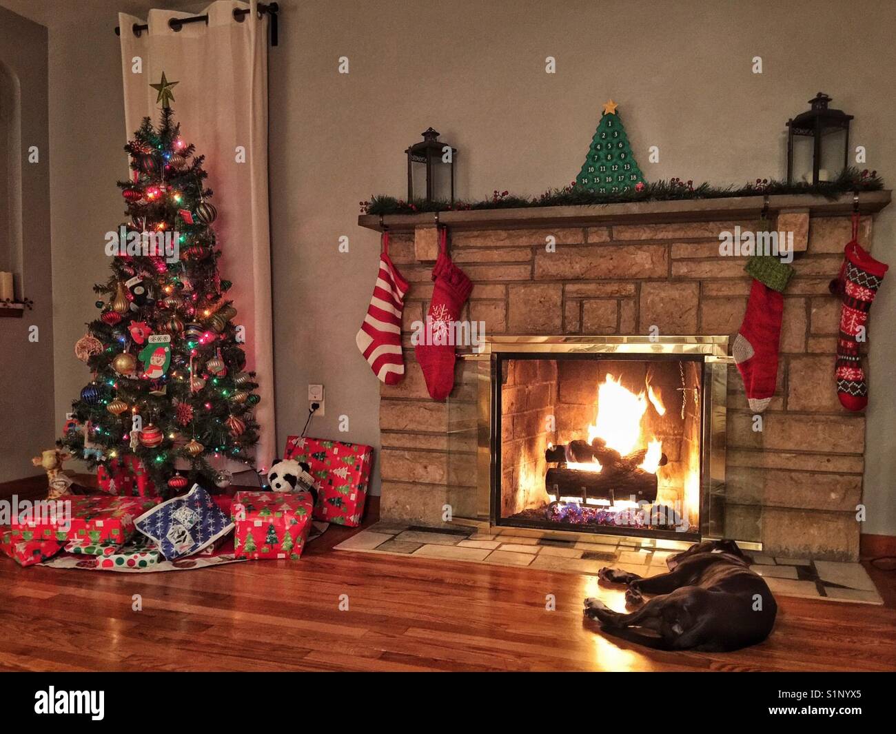 christmas tree dog guard