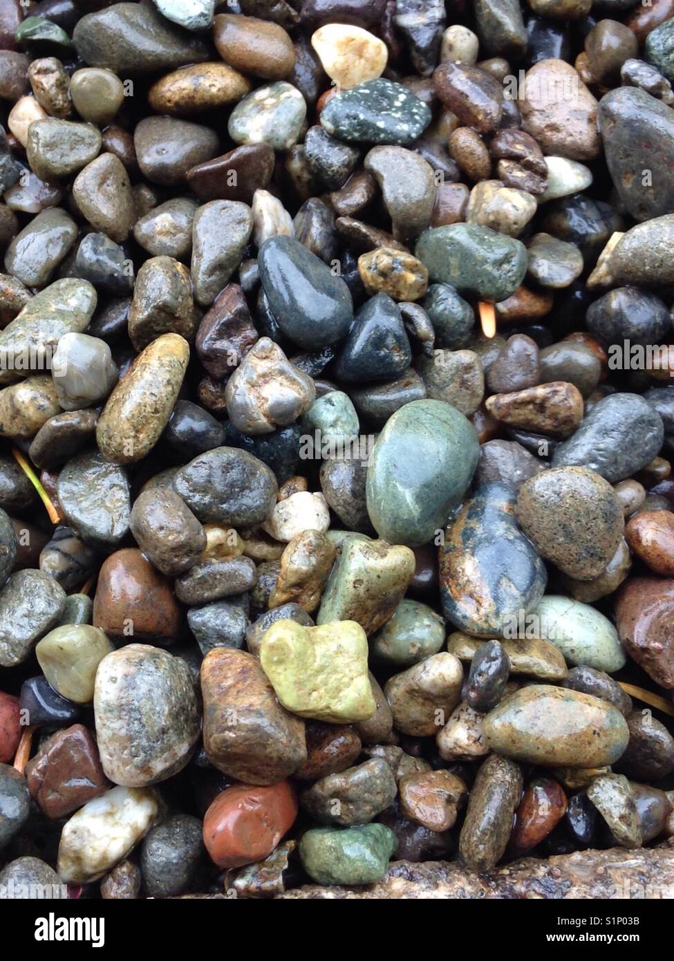 Abstract of wet gravel. Colorful background. Stock Photo
