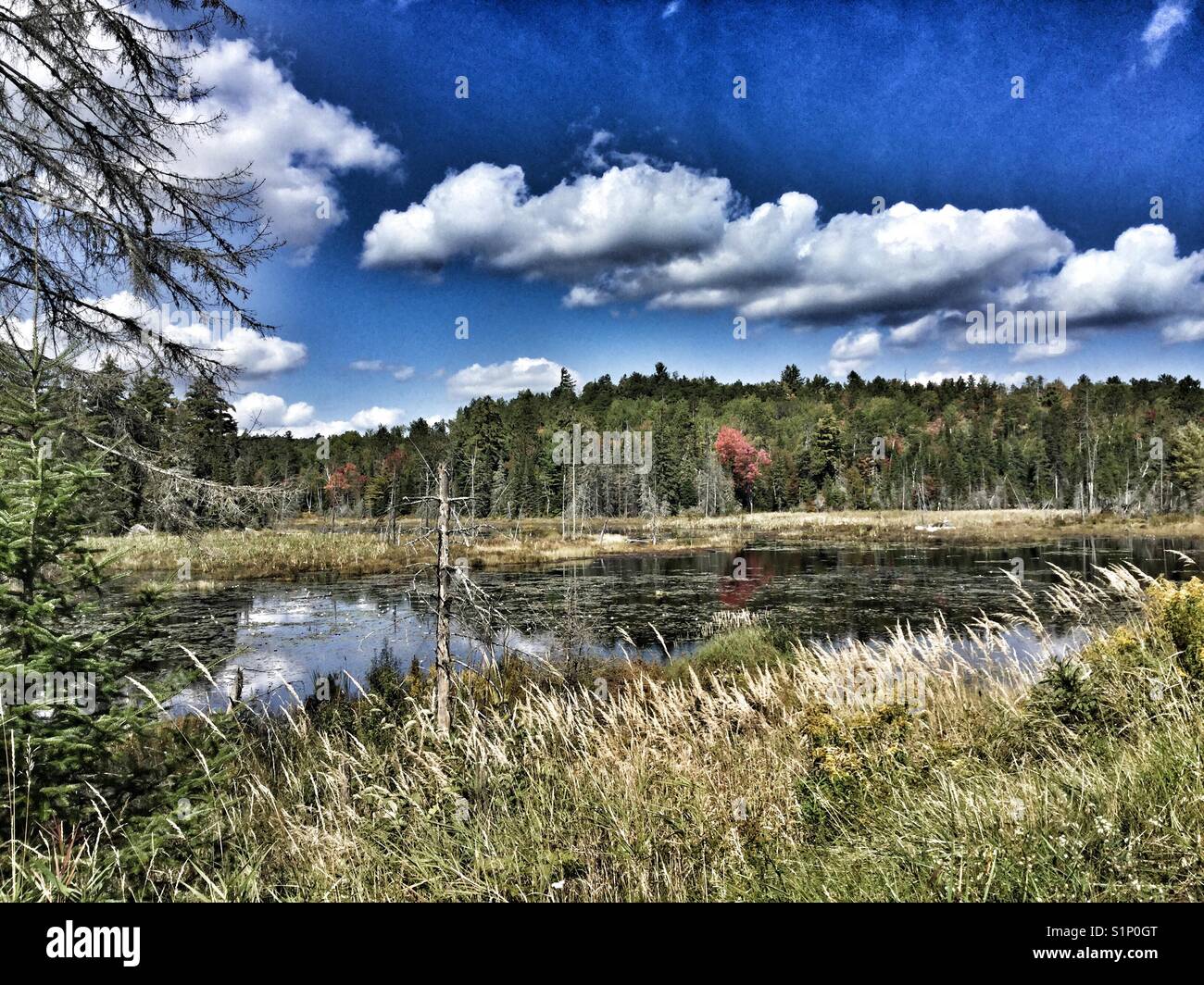 A sign that autumn is on its way. - Smartphone Captured Stock Image