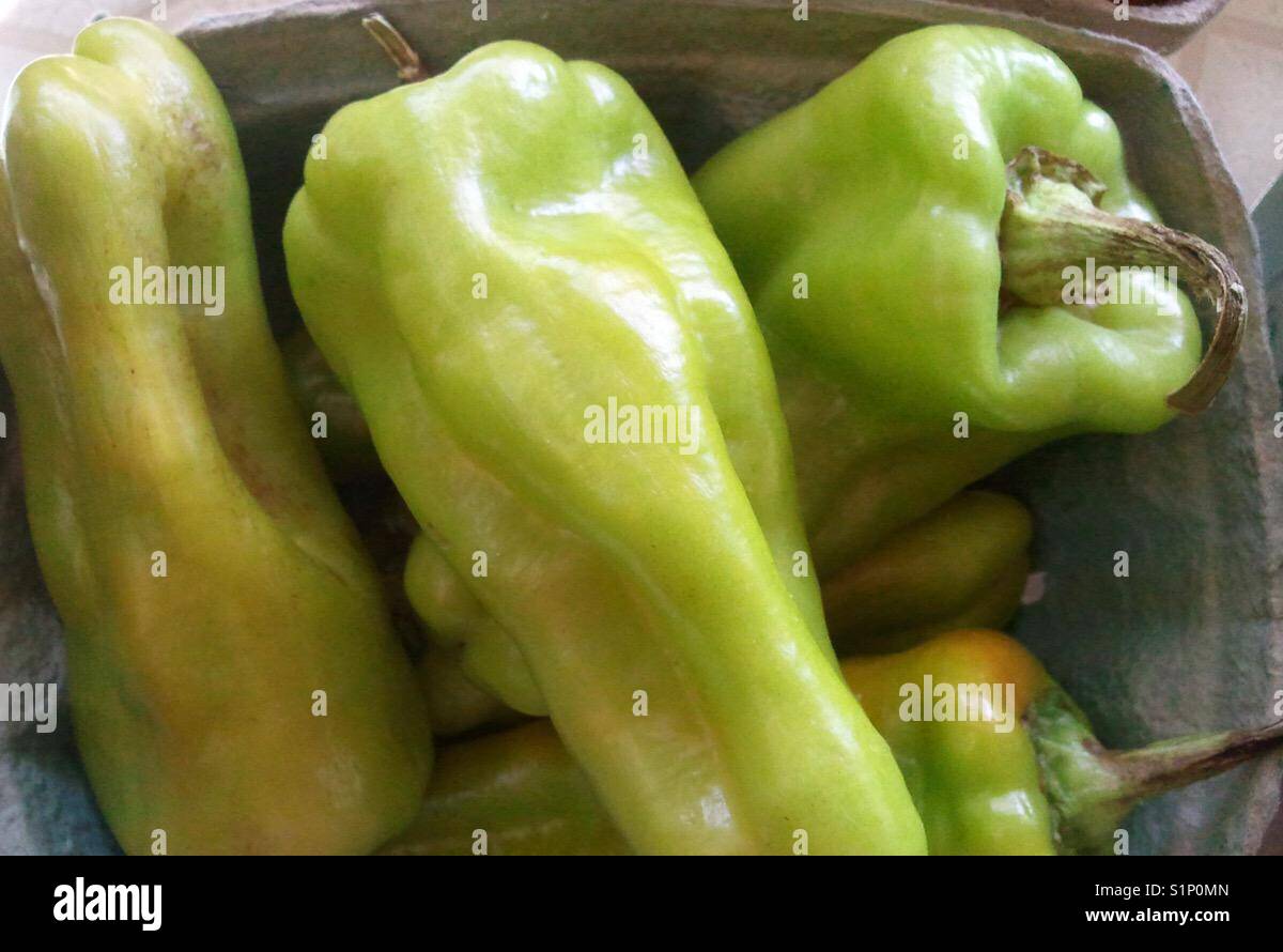 Green peppers in market hi-res stock photography and images - Alamy