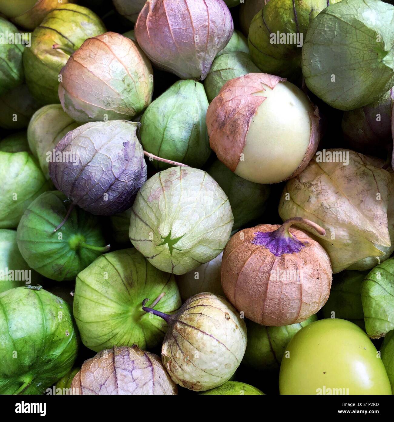 Fresh tomatillos at a farmers market Stock Photo Alamy