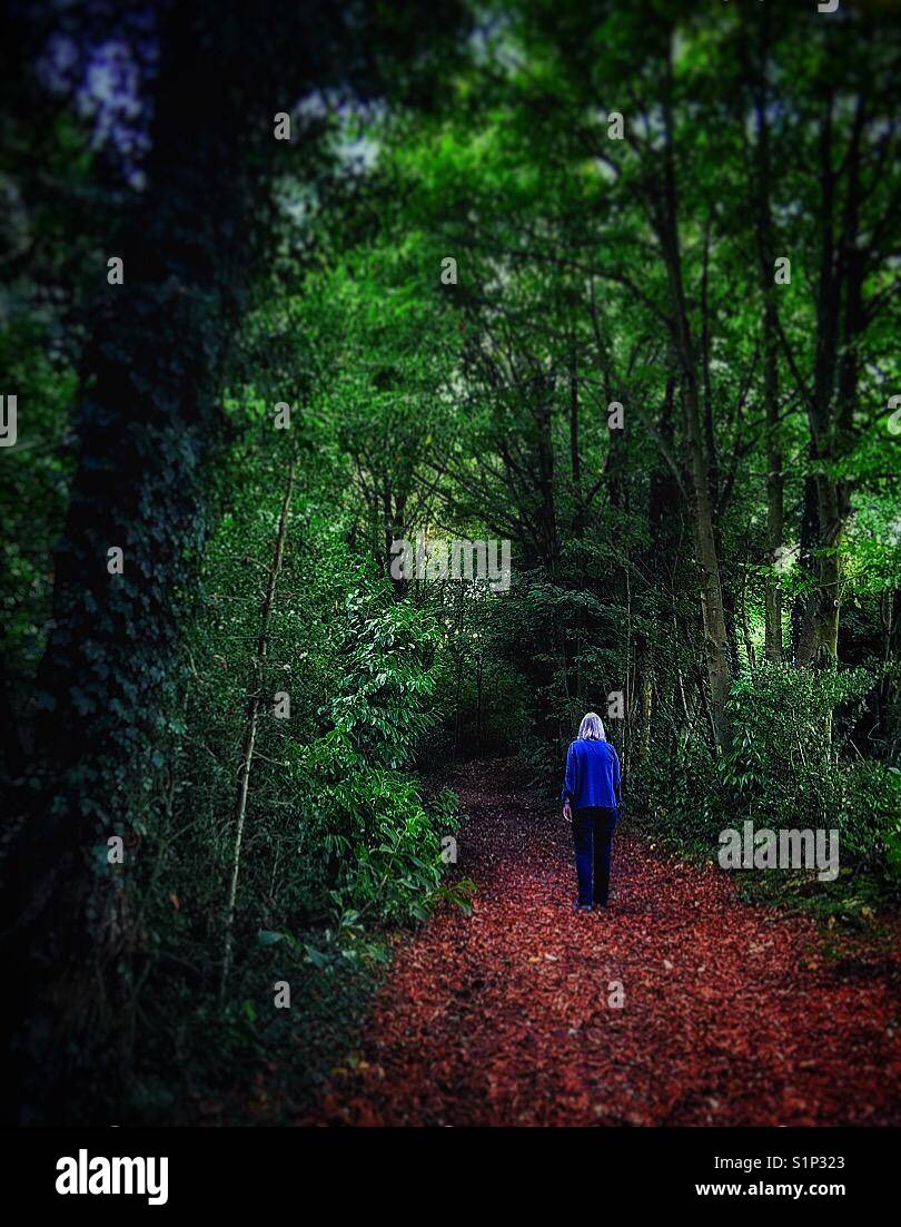 A woman walks through a forest in Autumn Stock Photo - Alamy