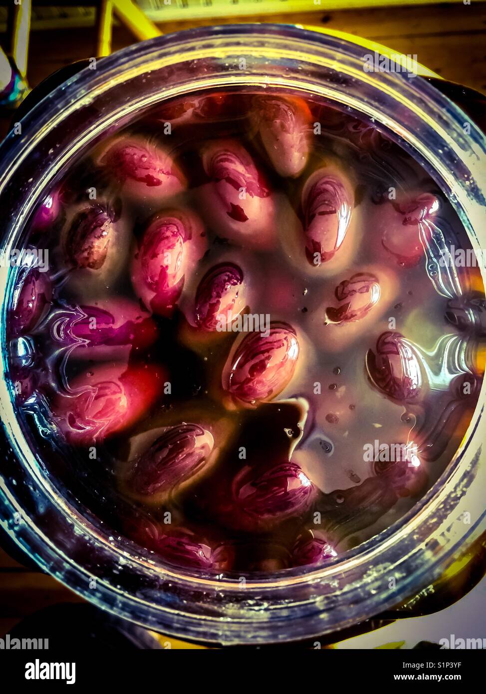 A jar full of Kalamata olives Stock Photo Alamy