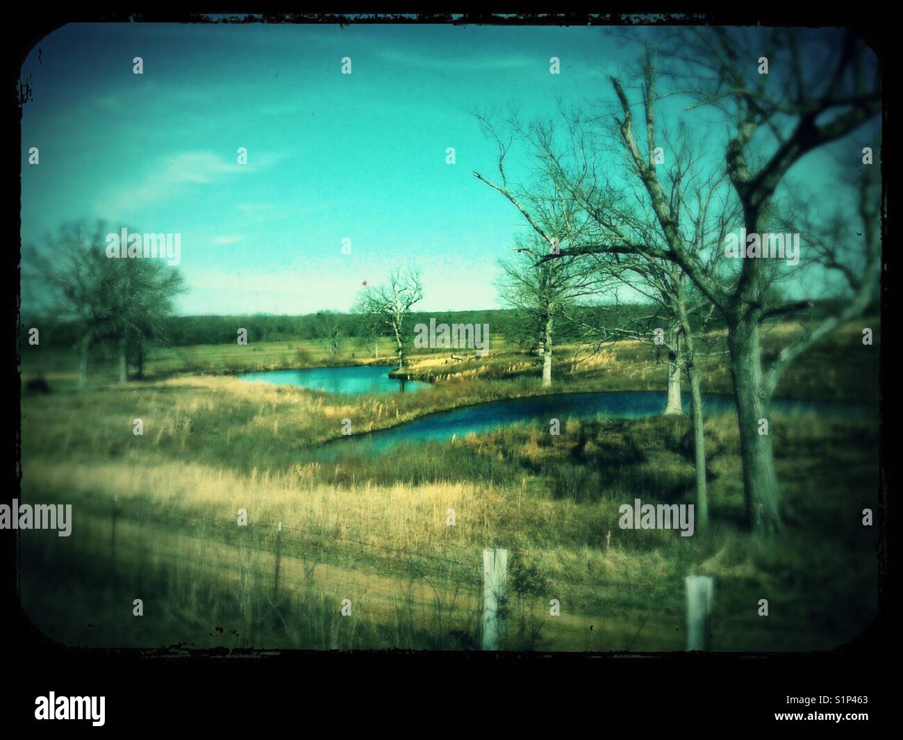 Winter ponds - Smartphone Captured Stock Image