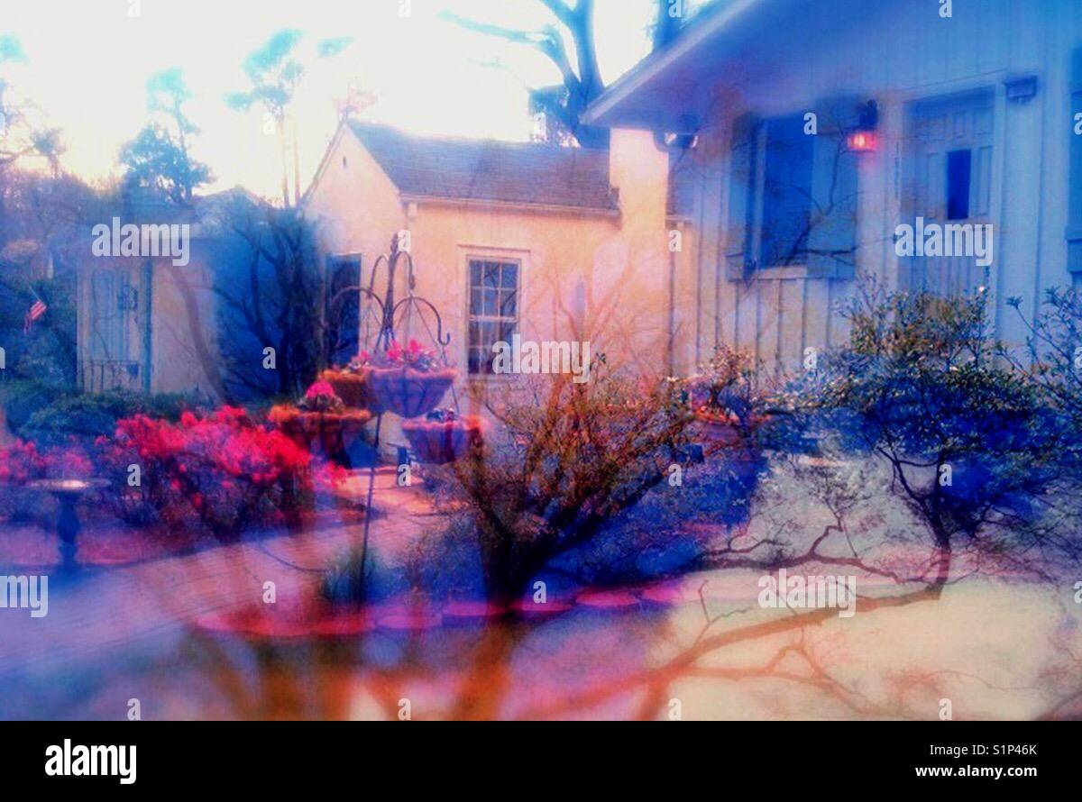 Double exposure of neighborhood and  trees - Smartphone Captured Stock Image