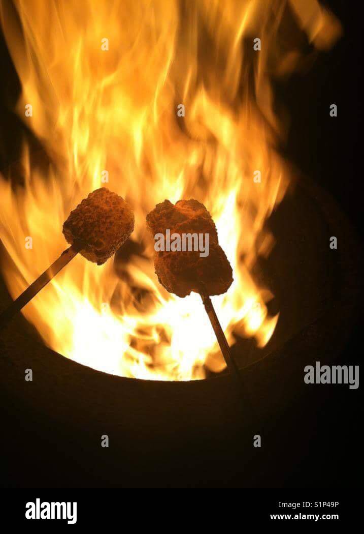 Roasting marshmallows on open fire (two people holding in darkness and have permission) - Smartphone Captured Stock Image