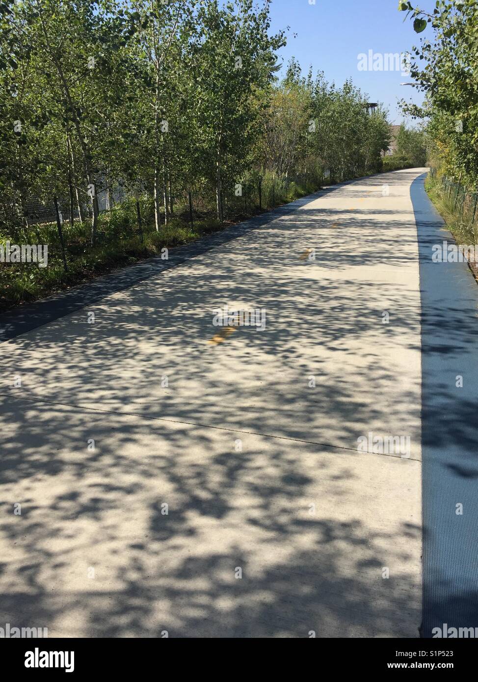 View of the Bloomingdale Trail in Chicago Stock Photo - Alamy