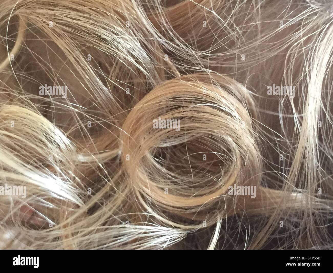 Golden Hair in Ringlets on Toddler's Head Stock Photo