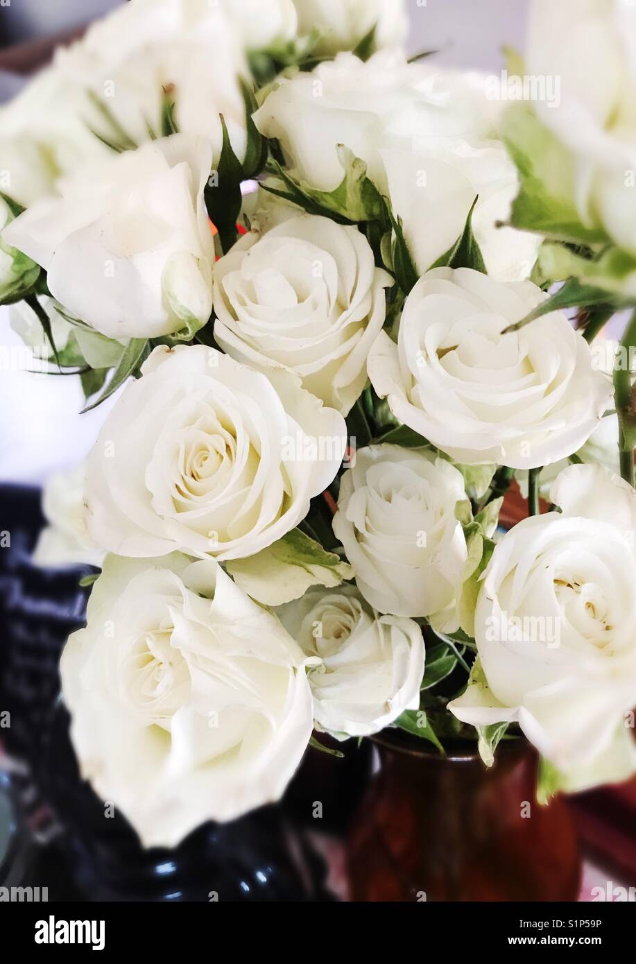 Mini White Roses flowers Stock Photo Alamy