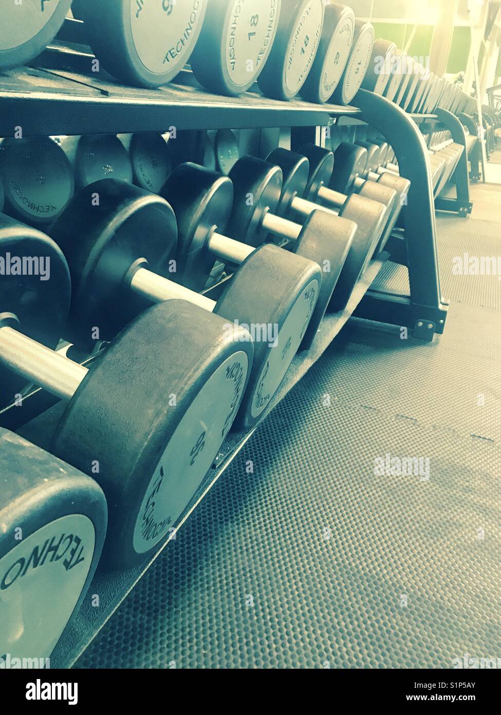 Gym free weights Stock Photo Alamy