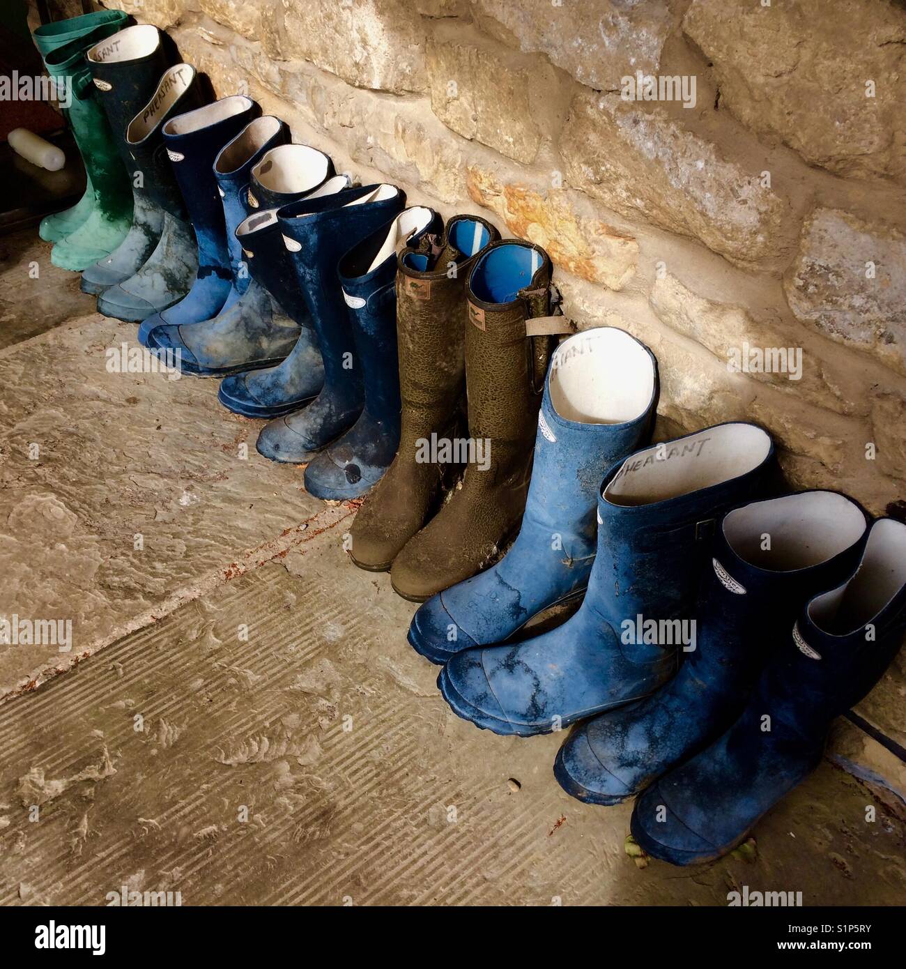 Row of Wellington boots Stock Photo - Alamy