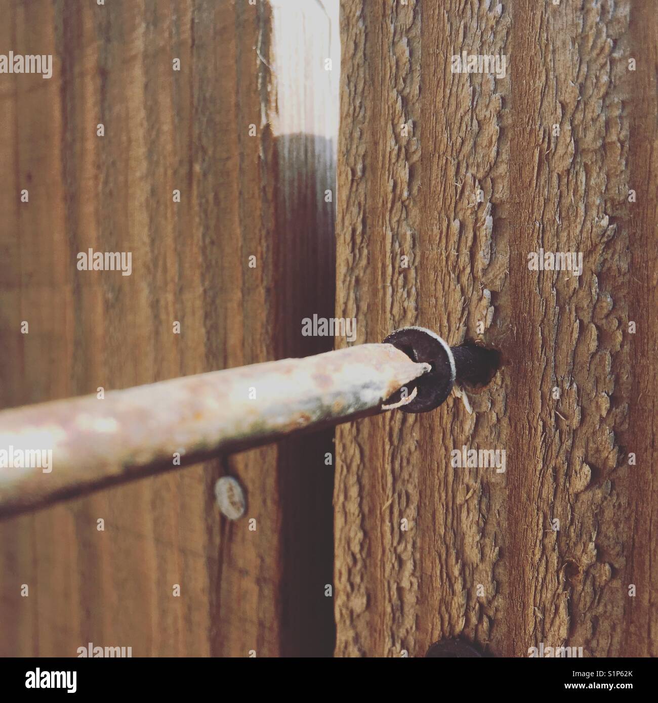 Wood screw hires stock photography and images Alamy