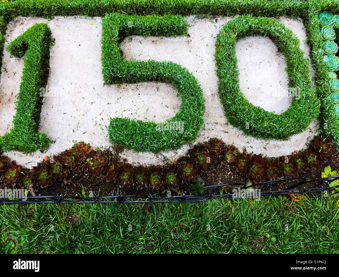 150 in number hi-res stock photography and images - Alamy