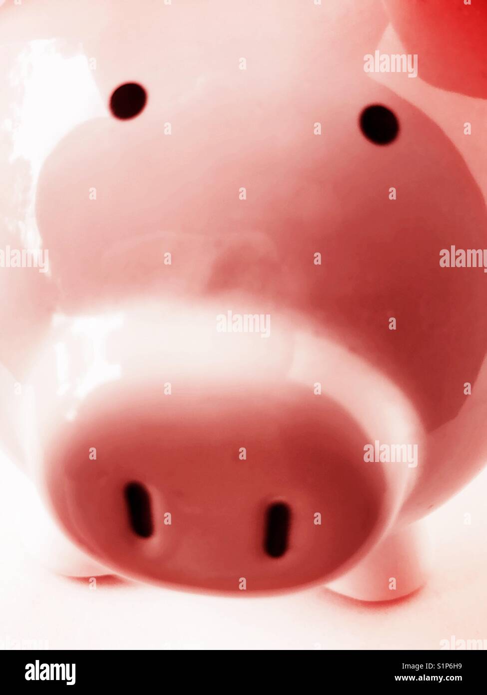 Pink pig face - Smartphone Captured Stock Image