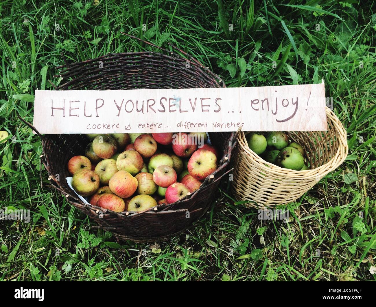 Baskets of apples on the roadside, Hampshire, England, United Kingdom. - Smartphone Captured Stock Image