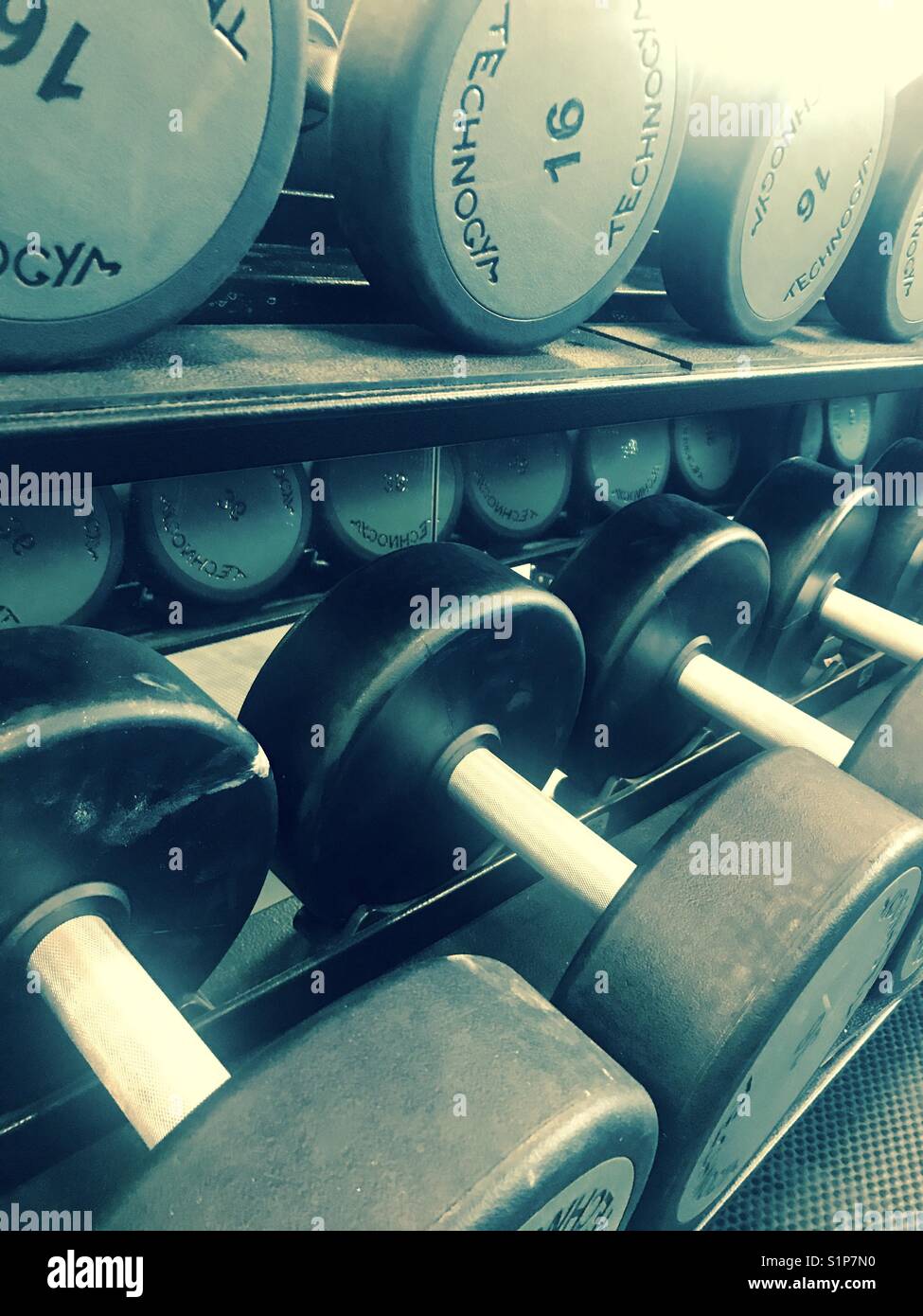 Gym free weights Stock Photo Alamy