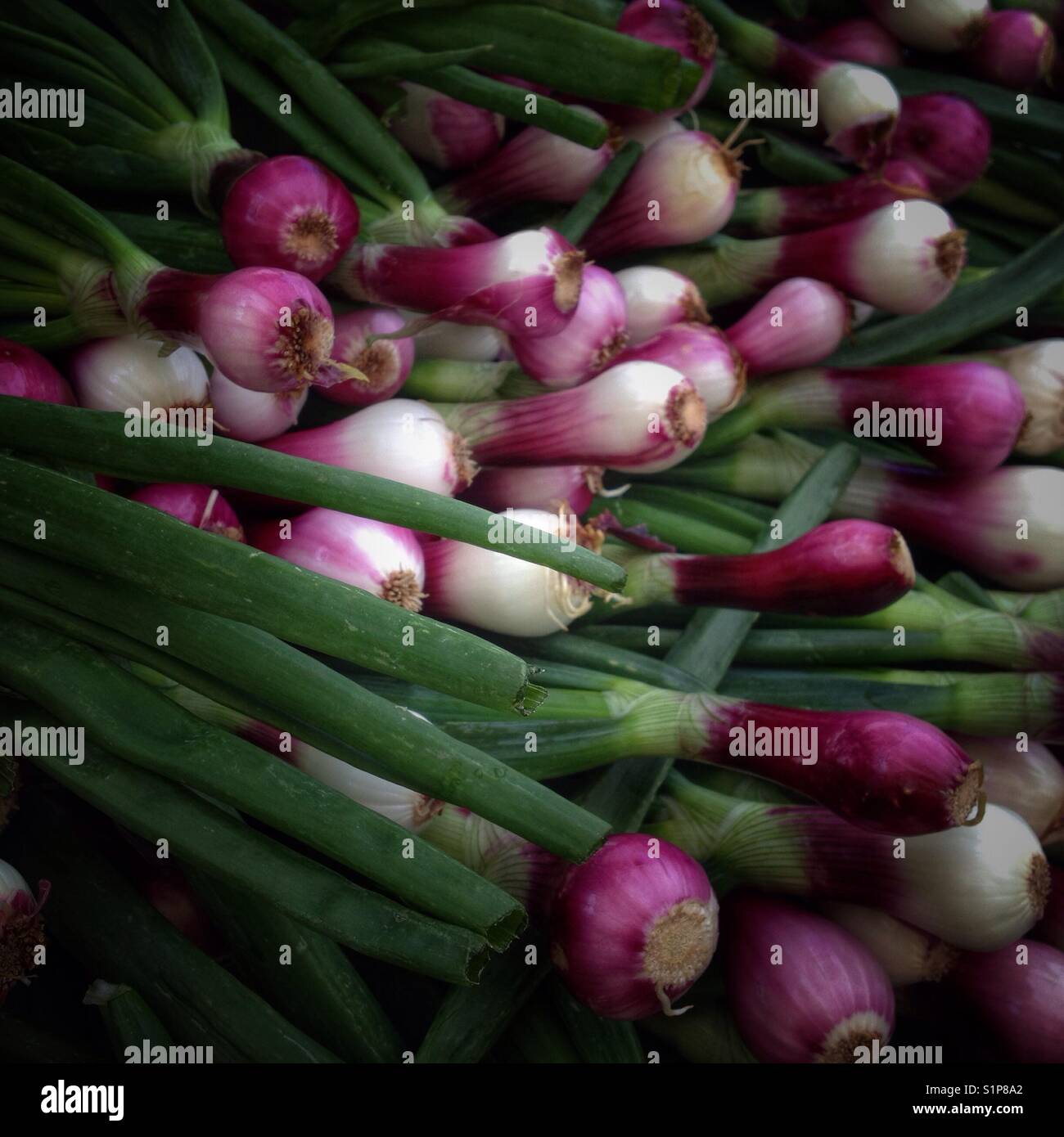 A display of red onions at the Berkeley Farmers Market in Berkeley ...