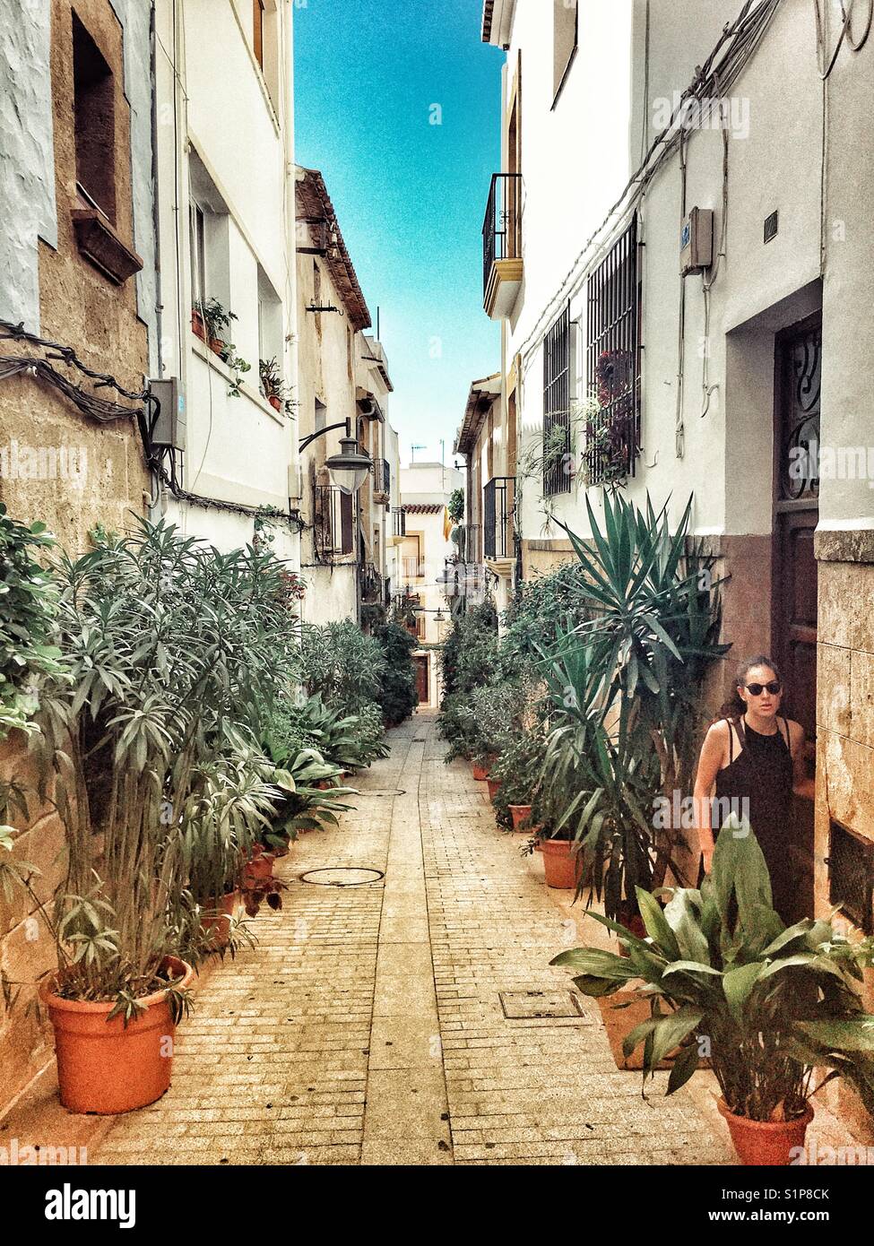 Narrow residential street lined with potted plants within the Old Town, Javea, Alicante Province, Spain - Smartphone Captured Stock Image