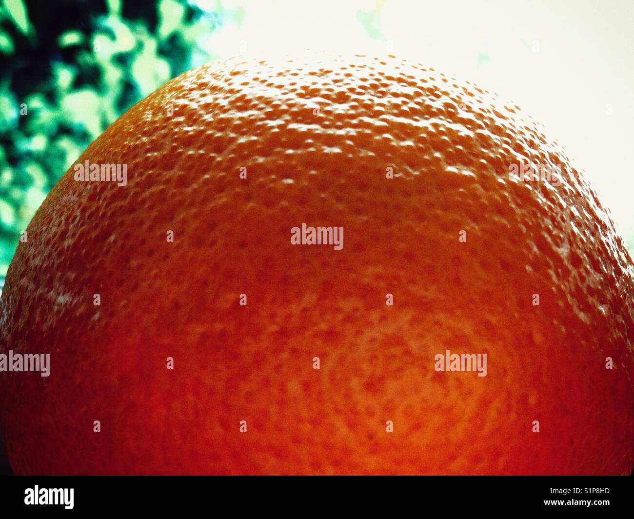 Orange peel texture hi-res stock photography and images - Alamy