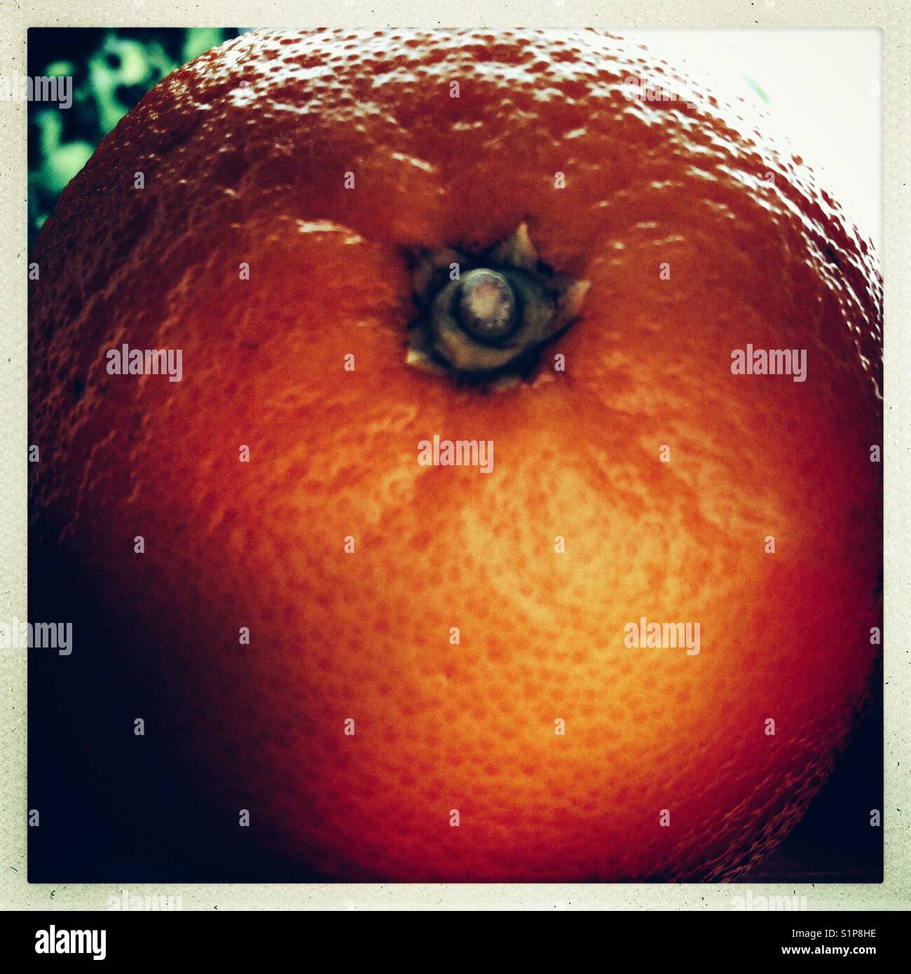 Orange peel texture hi-res stock photography and images - Alamy