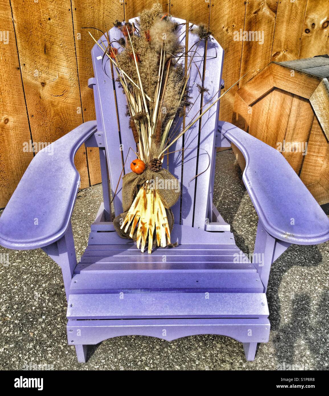 Purple painted Muskoka chair. - Smartphone Captured Stock Image