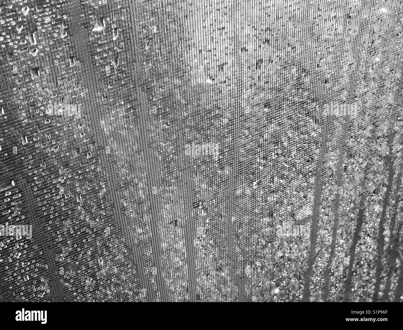 Abstract textures of water droplets on a window screen. Stock Photo