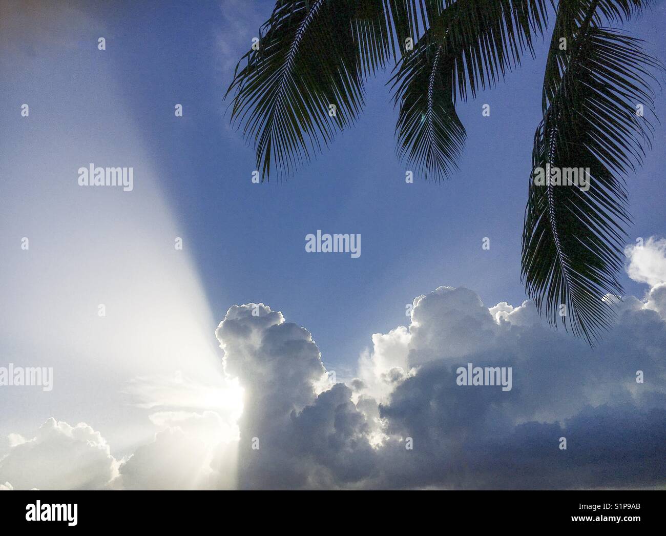 God light sunset - Smartphone Captured Stock Image
