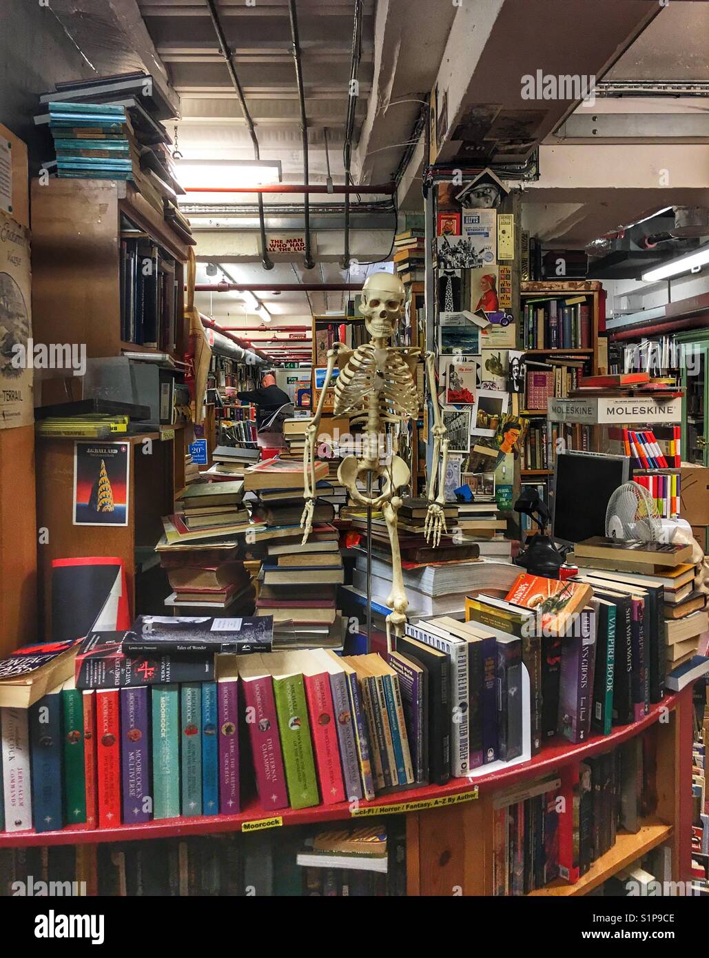 Skoobs bookshop interior, Bloomsbury, London, England - Smartphone Captured Stock Image