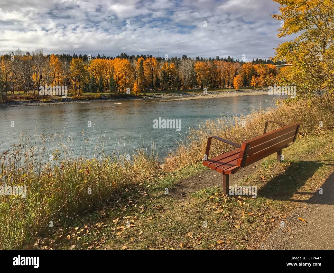 Bench by the riverside path in Baker park, looking across the Bow river to the autumnal trees in Bowness park, in Calgary, Alberta, Canada. - Smartphone Captured Stock Image