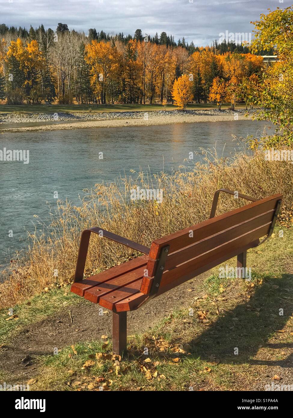 Bench by the riverside path in Baker park, looking across the Bow river to the autumnal trees in Bowness park, Calgary, Alberta, Canada. - Smartphone Captured Stock Image