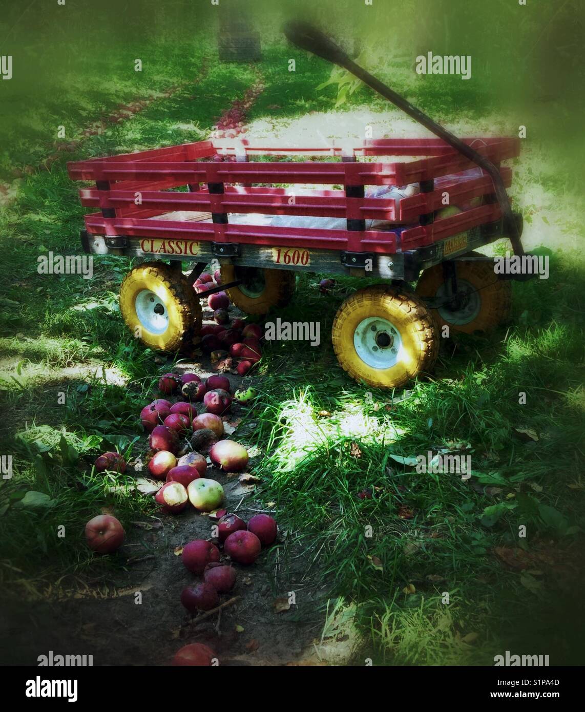 Vintage apple cart Stock Photo Alamy