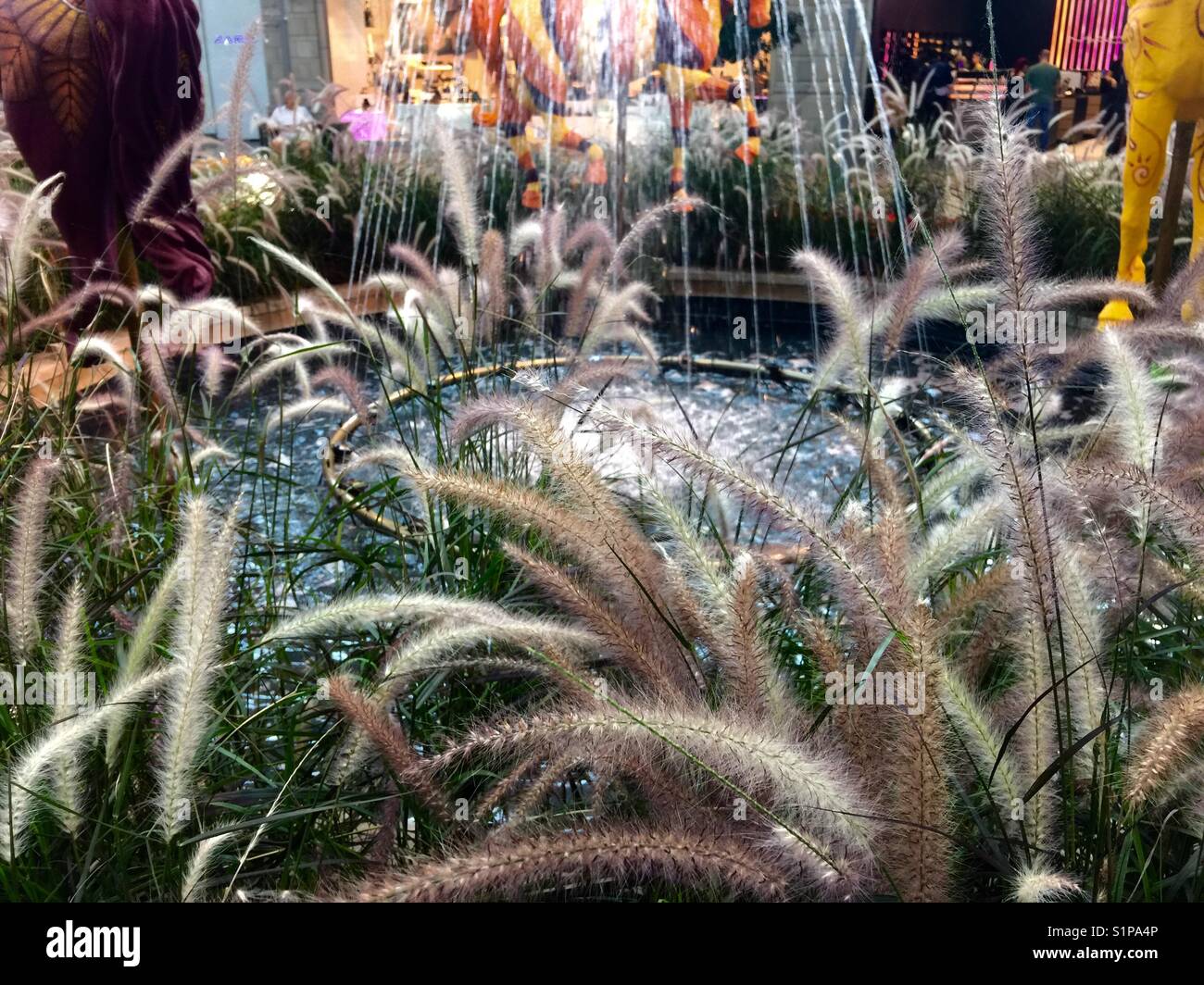 Stems branches around a fountain Stock Photo - Alamy