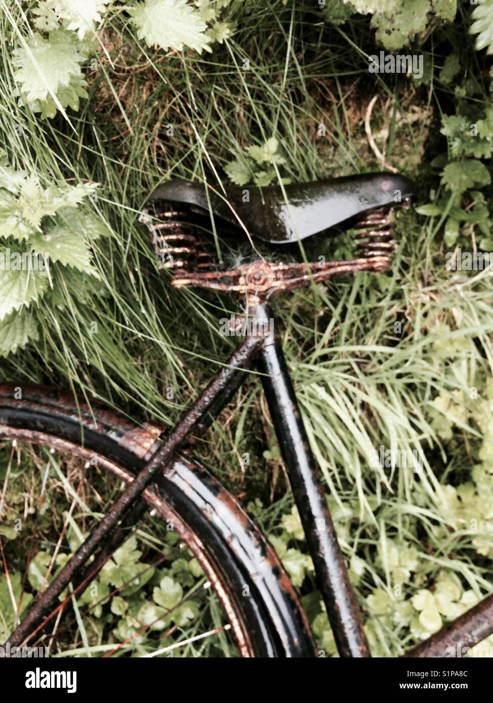 Rusty old bicycle - Smartphone Captured Stock Image