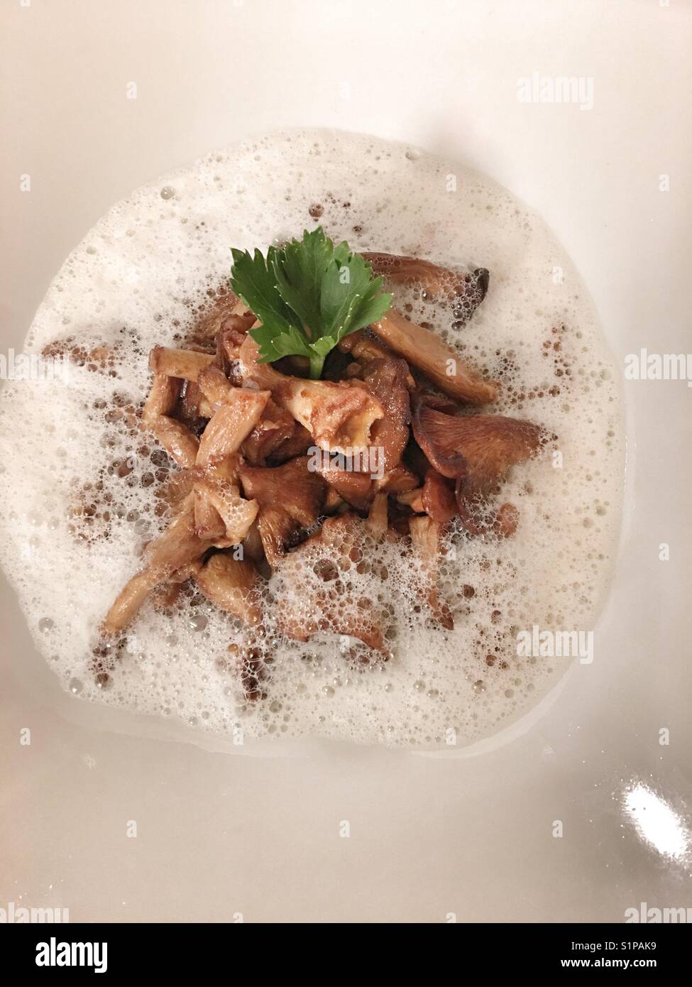 Chanterelles starter dish 2017 Stock Photo Alamy