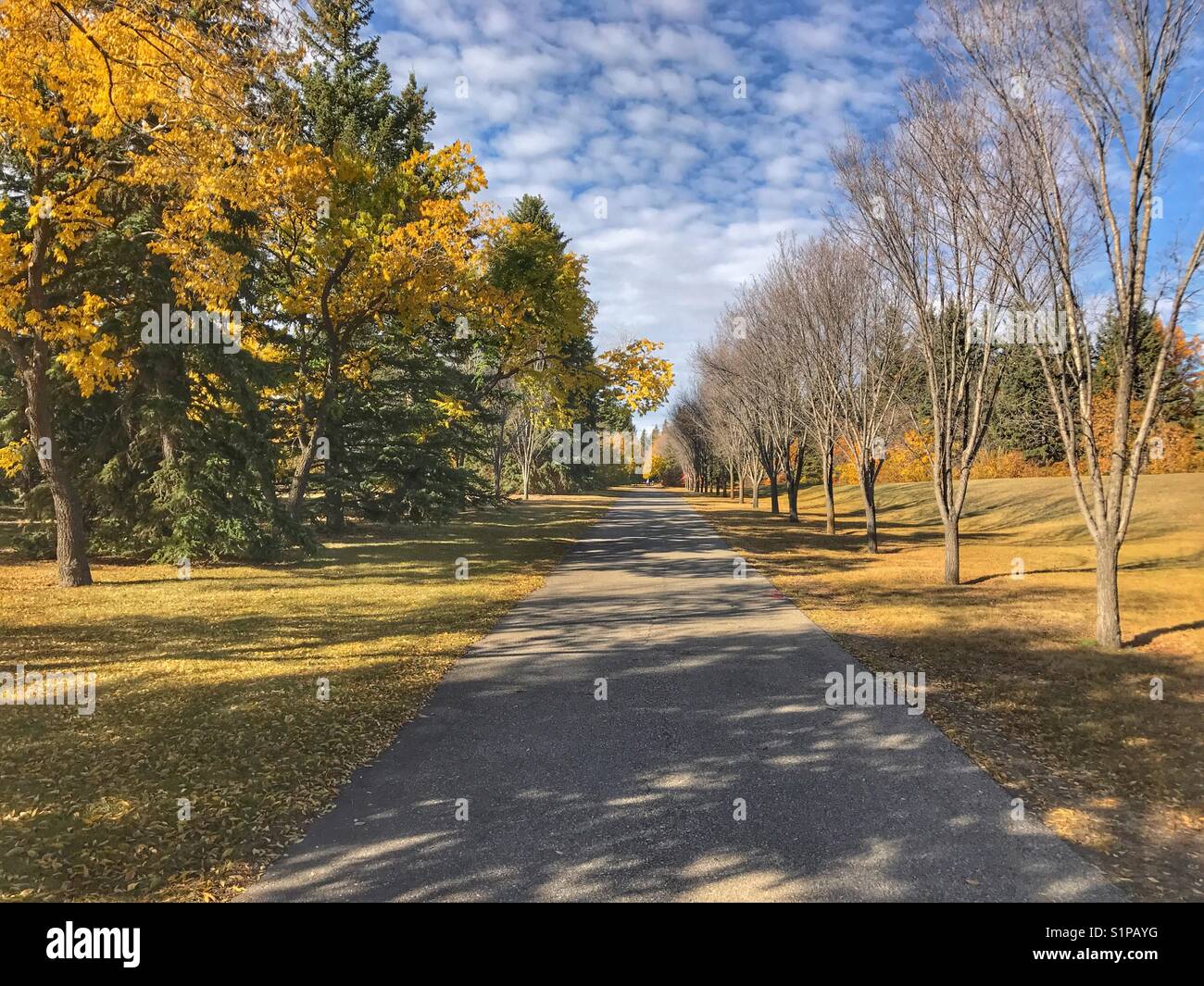 Pathway through Baker park on a beautiful autumn day. Calgary, Alberta, Canada. Stock Photo