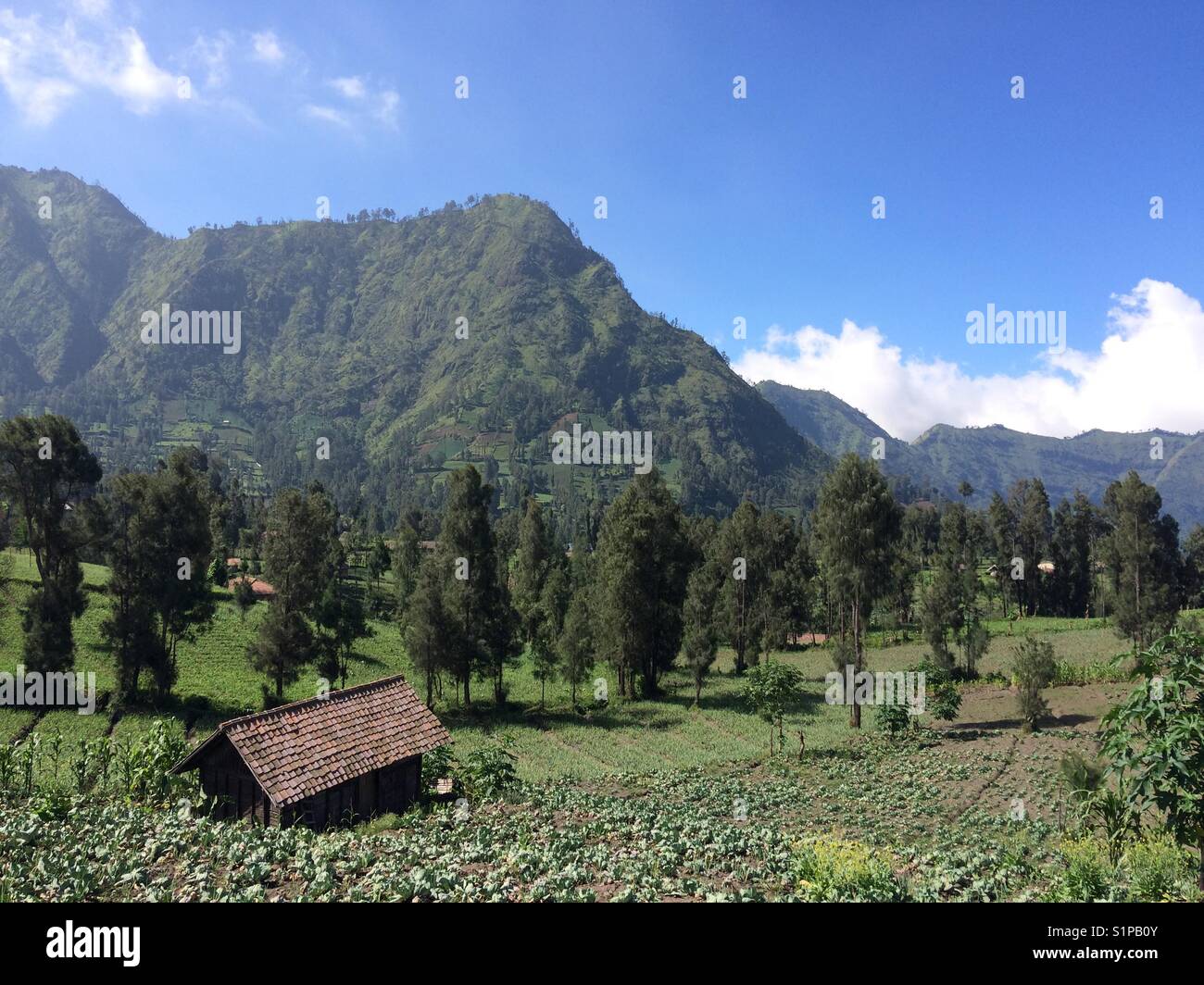 Scenery near Mount Bromo, Indonesia. Stock Photo
