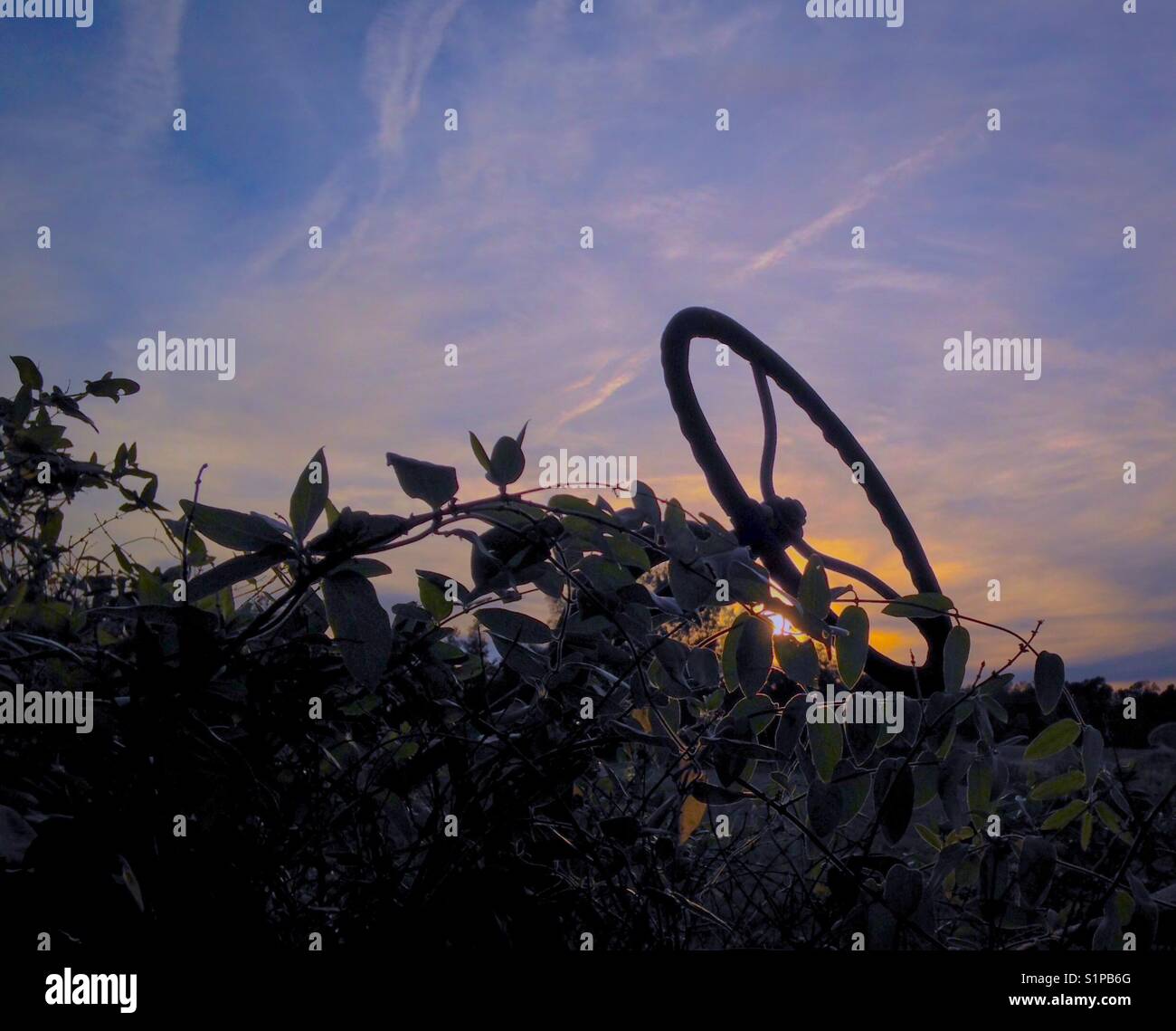 Tractor steering wheel in sunset - Smartphone Captured Stock Image