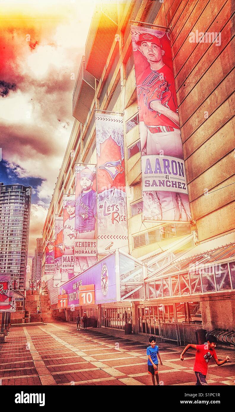 Photos: 10 pictures that showcase the beauty of Toronto Blue Jays