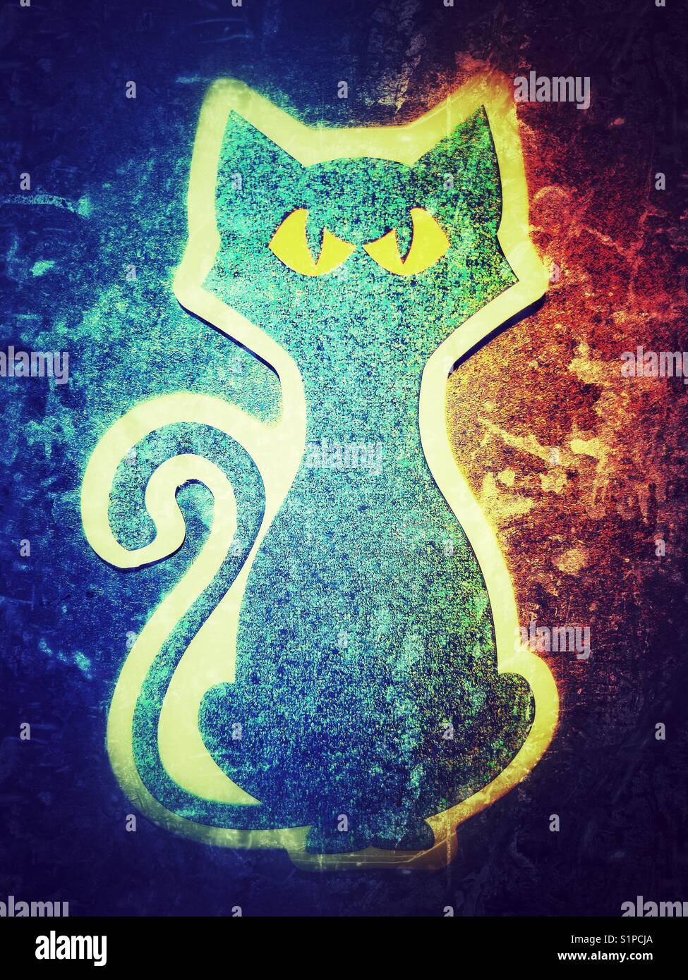 Halloween spooky black cat - Smartphone Captured Stock Image