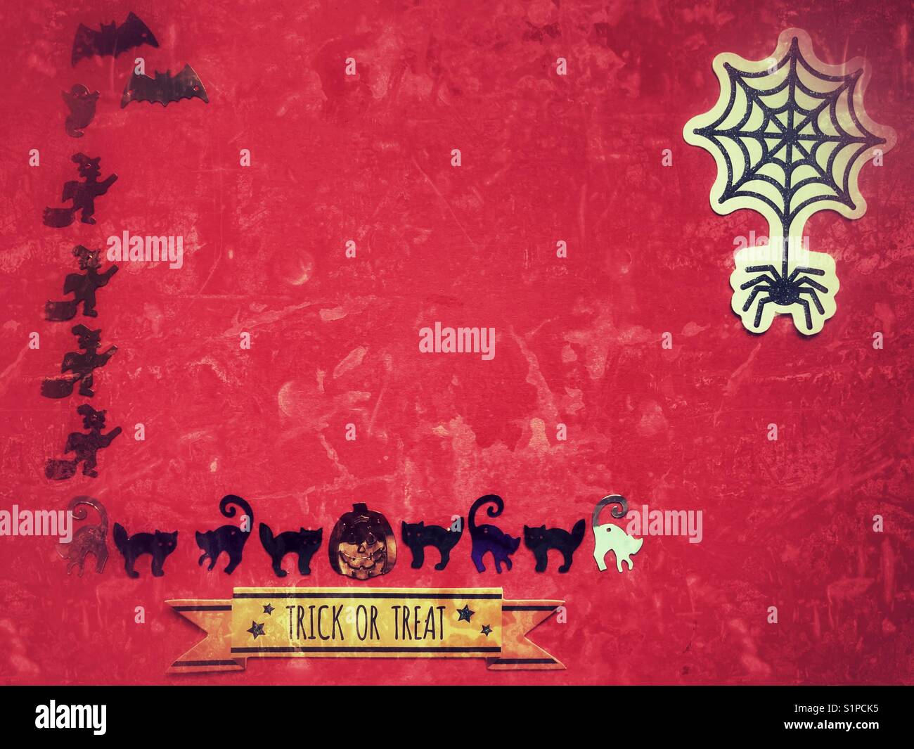 Halloween themed collage. Trick or Treat. Cats, bats, spiders, pumpkins and witches. - Smartphone Captured Stock Image