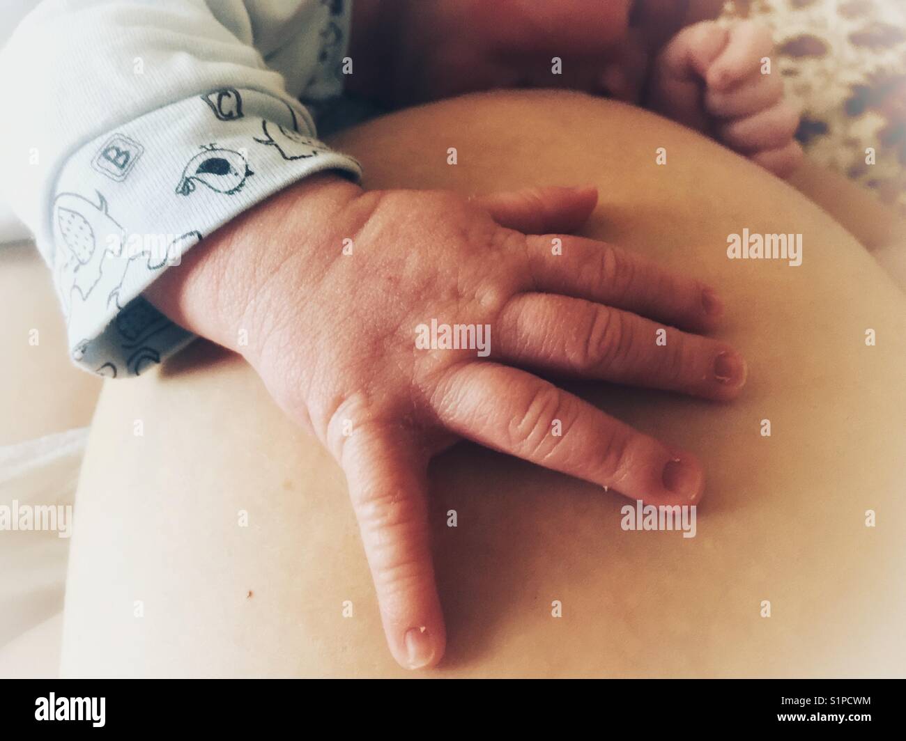 Newborn breastfeeding - Smartphone Captured Stock Image