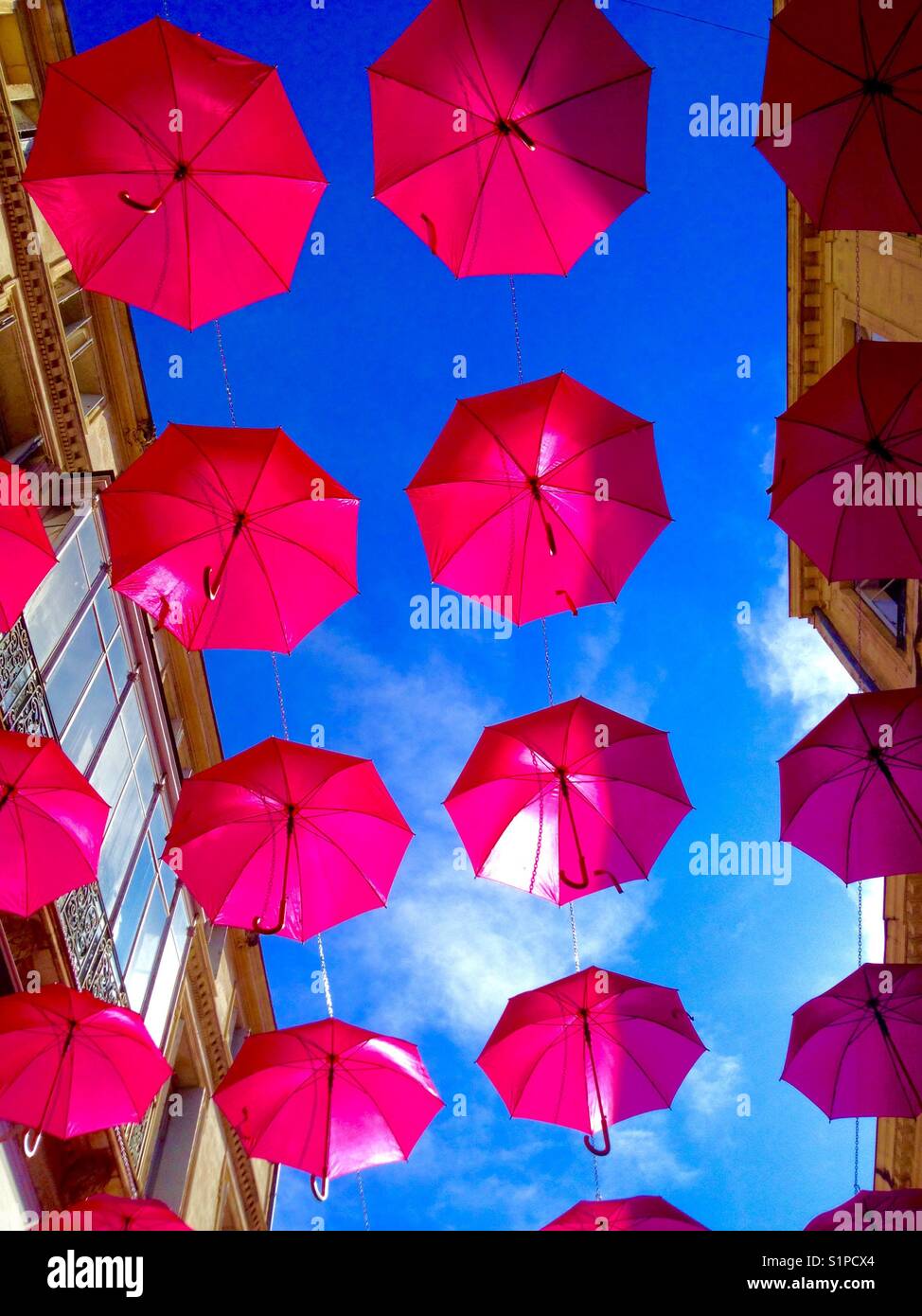Octobre Rose, umbrellas againts cancer hung in Rue De La Loge, Montpellier France - Smartphone Captured Stock Image