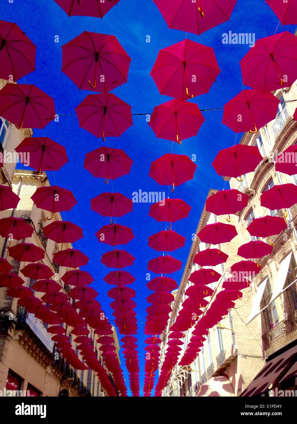 Octobre Rose, umbrellas againts cancer hung in Rue De La Loge, Montpellier France - Smartphone Captured Stock Image