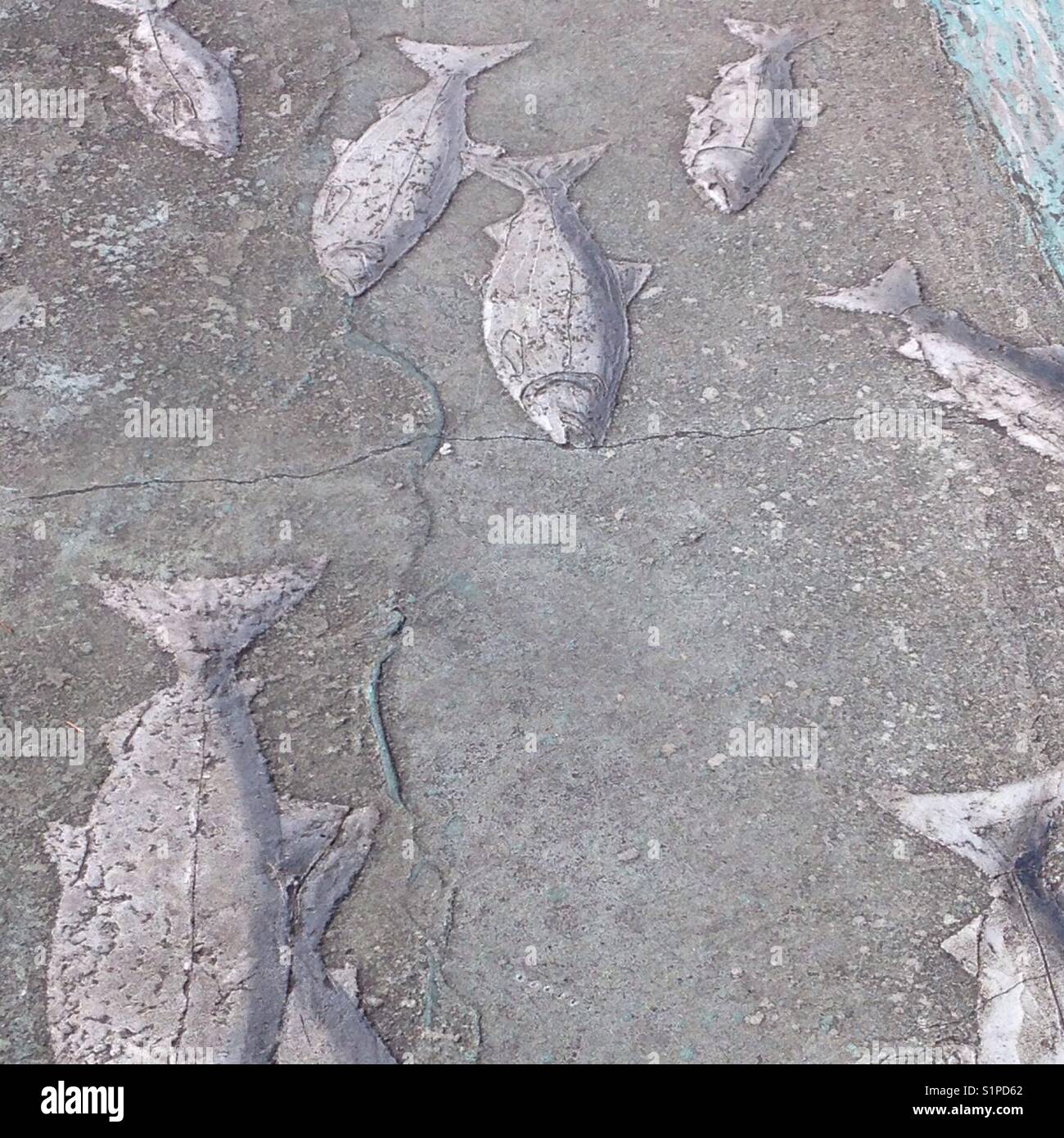 Salmon images on a sidewalk in Olympia, Washington, USA Stock Photo