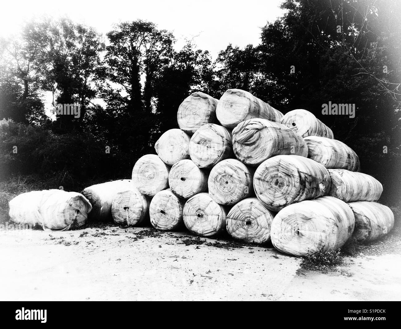 Stacked bales of fleece hires stock photography and images Alamy