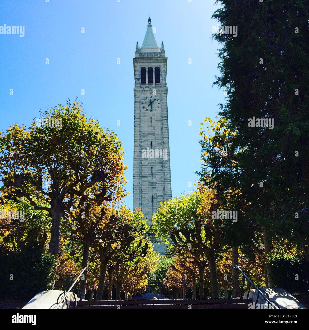Campanile (Sather Tower.) University of California, Berkeley. - Smartphone Captured Stock Image
