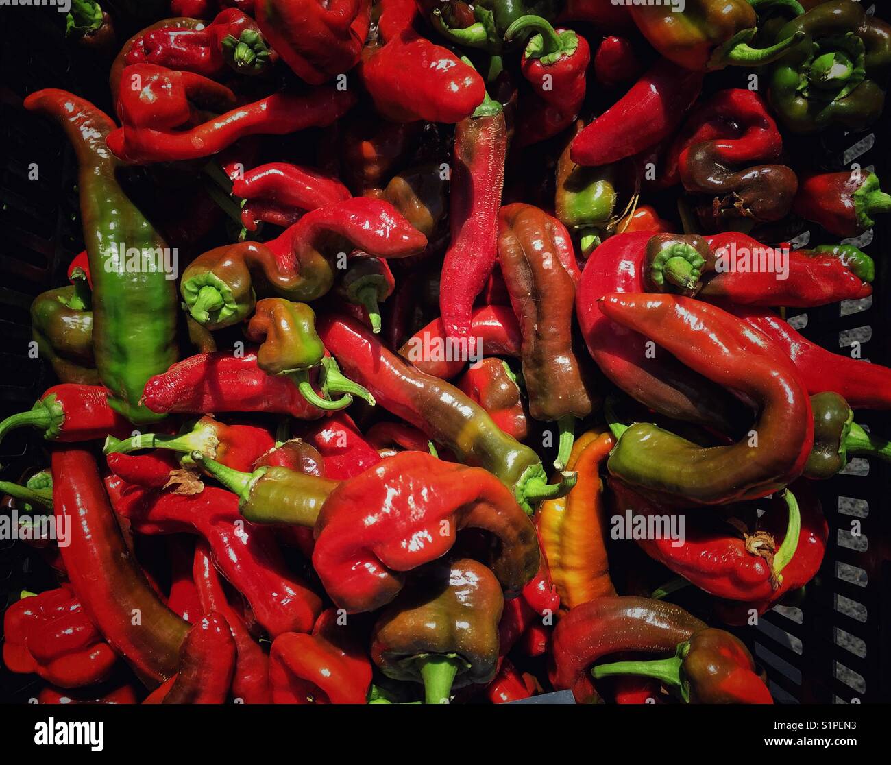 Twisted red and green hot peppers at the market Stock Photo