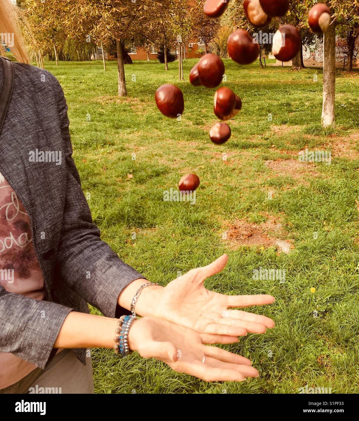 Chestnut in the air - Smartphone Captured Stock Image